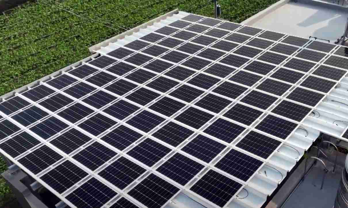 尊龙z6SunSteel光电浪板升级双玻结构，，，以提升机械负载强度及气候耐候度，，，可广泛运用于多元场域